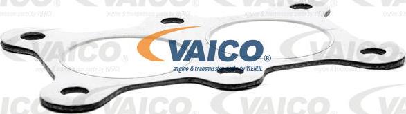 VAICO V10-5093 - Прокладка, випускний колектор avtolavka.club