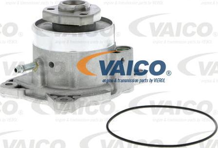 VAICO V10-50081 - Водяний насос avtolavka.club