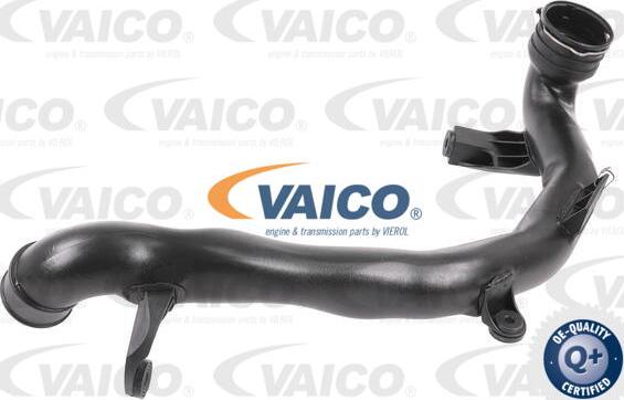 VAICO V10-6496 - Трубка нагнітається повітря avtolavka.club