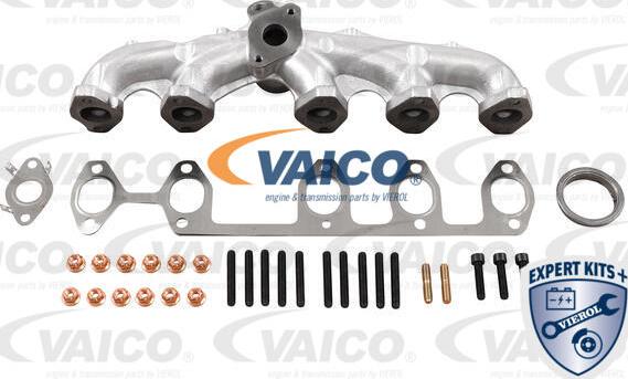 VAICO V10-6555 - Колектор, система випуску avtolavka.club