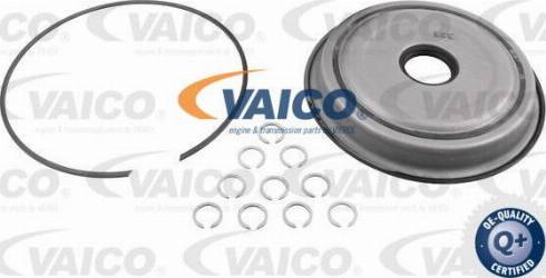 VAICO V10-6529 - Комплект зчеплення avtolavka.club