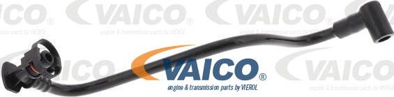 VAICO V10-6642 - Шланг, вентиляція картера avtolavka.club