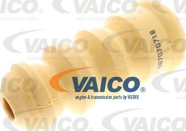 VAICO V10-6034-1 - Відбійник, буфер амортизатора avtolavka.club