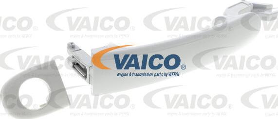 VAICO V10-6161 - Ручка двері avtolavka.club