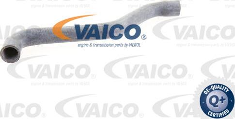 VAICO V10-0074 - Шланг радіатора avtolavka.club