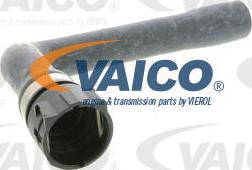 VAICO V10-0895 - Шланг радіатора avtolavka.club
