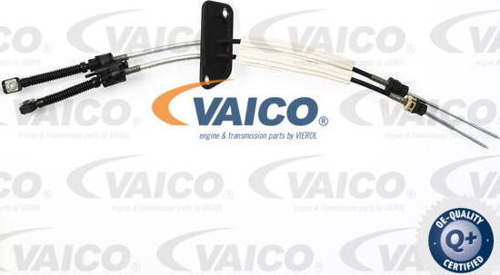 VAICO V10-8065 - Трос, ступінчаста коробка передач avtolavka.club