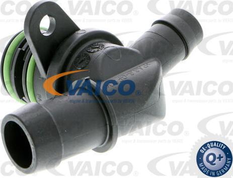 VAICO V10-3561 - Зворотний клапан avtolavka.club