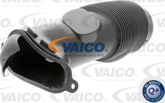 VAICO V10-3572 - Впускная труба, підведення повітря avtolavka.club