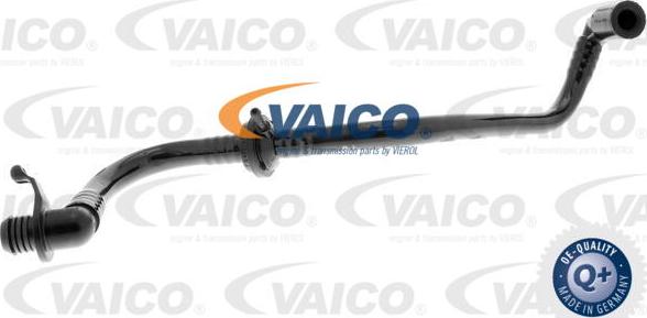 VAICO V10-3645 - Шланг розрідження, гальмівна система avtolavka.club