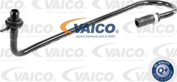 VAICO V10-3648 - Шланг розрідження, гальмівна система avtolavka.club