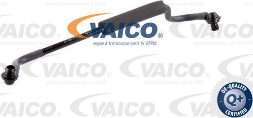 VAICO V10-3647 - Шланг розрідження, гальмівна система avtolavka.club
