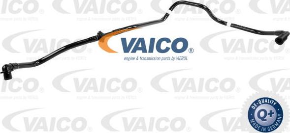 VAICO V10-3655 - Шланг розрідження, гальмівна система avtolavka.club