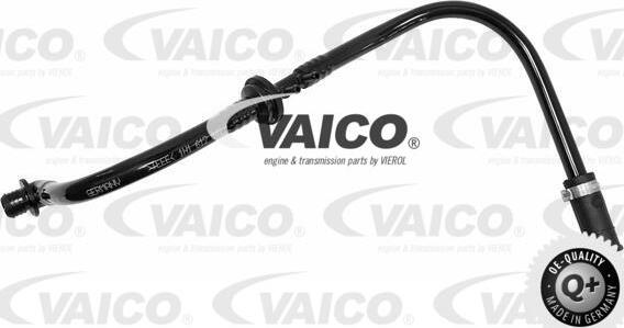 VAICO V10-3600 - Шланг розрідження, гальмівна система avtolavka.club