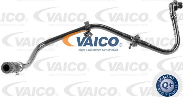 VAICO V10-3607 - Шланг розрідження, гальмівна система avtolavka.club