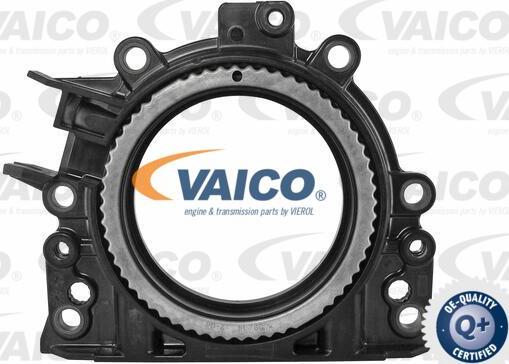 VAICO V10-3680 - Ущільнене кільце, колінчастий вал avtolavka.club