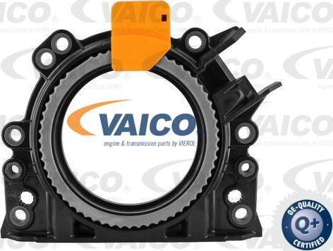 VAICO V10-3683 - Ущільнене кільце, колінчастий вал avtolavka.club