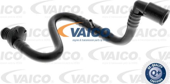 VAICO V10-3633 - Шланг розрідження, гальмівна система avtolavka.club