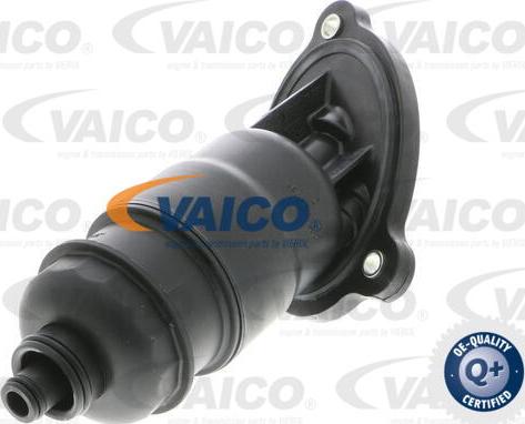 VAICO V10-3021 - Гідрофільтри, автоматична коробка передач avtolavka.club