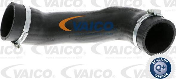 VAICO V10-3805 - Трубка нагнітається повітря avtolavka.club