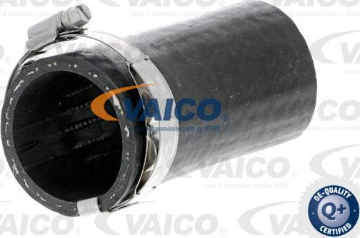 VAICO V10-3803 - Трубка нагнітається повітря avtolavka.club