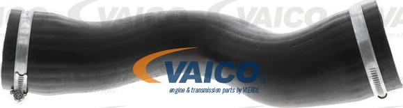 VAICO V10-3807 - Трубка нагнітається повітря avtolavka.club