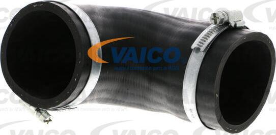 VAICO V10-3810 - Трубка нагнітається повітря avtolavka.club