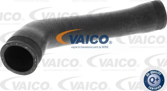 VAICO V10-3811 - Трубка нагнітається повітря avtolavka.club