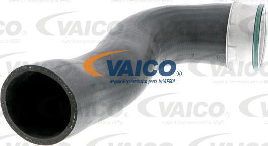 VAICO V10-3769 - Трубка нагнітається повітря avtolavka.club