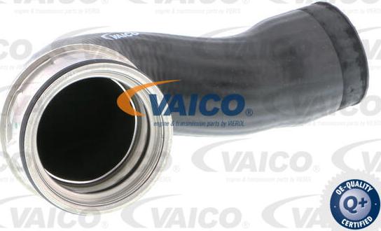 VAICO V10-3766 - Трубка нагнітається повітря avtolavka.club