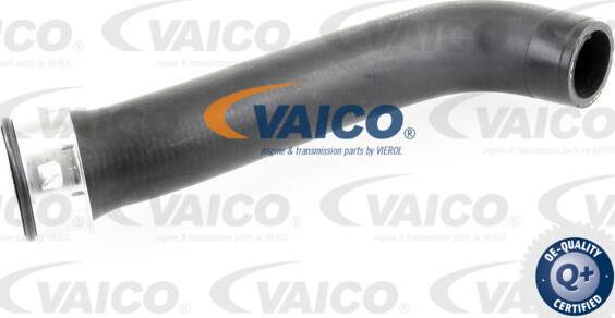 VAICO V10-3760 - Трубка нагнітається повітря avtolavka.club