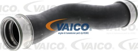VAICO V10-3787 - Трубка нагнітається повітря avtolavka.club