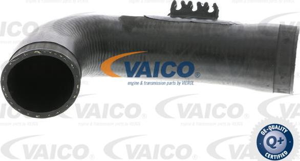 VAICO V10-3771 - Трубка нагнітається повітря avtolavka.club