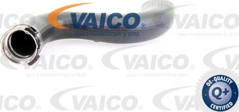 VAICO V10-3778 - Трубка нагнітається повітря avtolavka.club