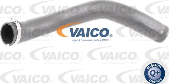 VAICO V10-3777 - Трубка нагнітається повітря avtolavka.club