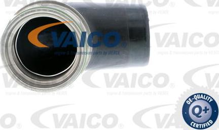 VAICO V10-2908 - Трубка нагнітається повітря avtolavka.club