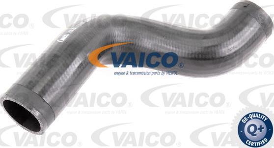 VAICO V10-2910 - Трубка нагнітається повітря avtolavka.club