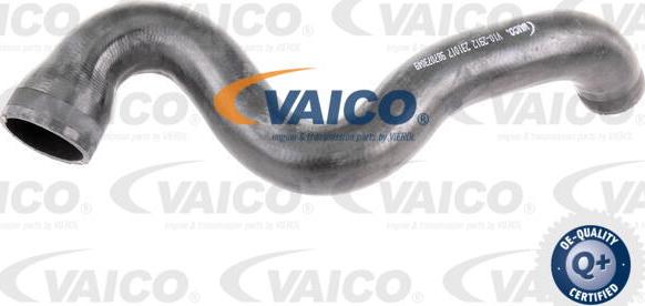 VAICO V10-2912 - Трубка нагнітається повітря avtolavka.club