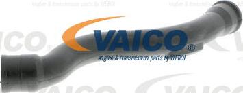 VAICO V10-2938 - Шланг, вентиляція картера avtolavka.club