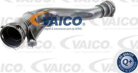 VAICO V10-2506 - Впускная труба, підведення повітря avtolavka.club