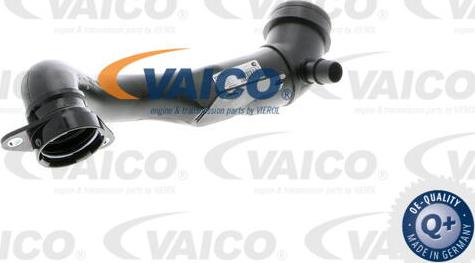 VAICO V10-2513 - Впускная труба, підведення повітря avtolavka.club