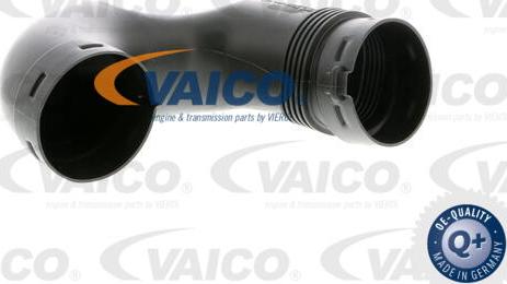 VAICO V10-2512 - Впускная труба, підведення повітря avtolavka.club
