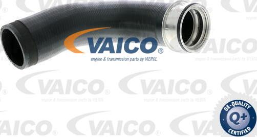 VAICO V10-2699 - Трубка нагнітається повітря avtolavka.club