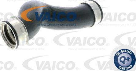 VAICO V10-2696 - Трубка нагнітається повітря avtolavka.club