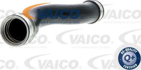 VAICO V10-2698 - Трубка нагнітається повітря avtolavka.club