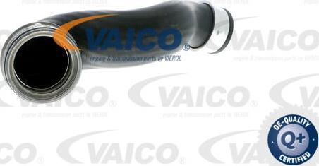 VAICO V10-2697 - Трубка нагнітається повітря avtolavka.club