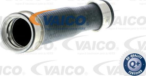 VAICO V10-2896 - Трубка нагнітається повітря avtolavka.club
