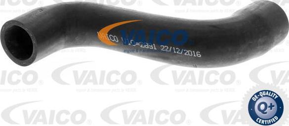 VAICO V10-2891 - Трубка нагнітається повітря avtolavka.club
