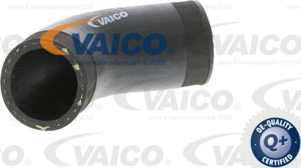 VAICO V10-2892 - Трубка нагнітається повітря avtolavka.club