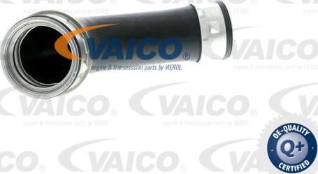 VAICO V10-2897 - Трубка нагнітається повітря avtolavka.club
